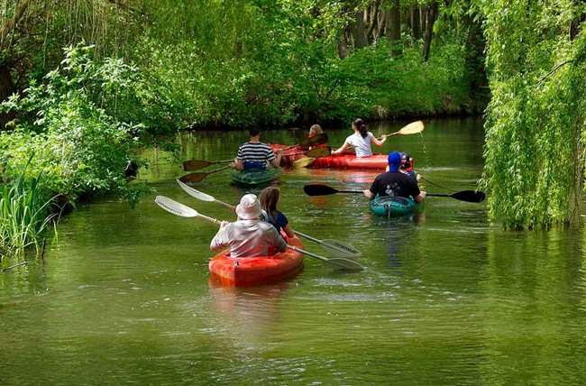 Paddeltour im Spreewald